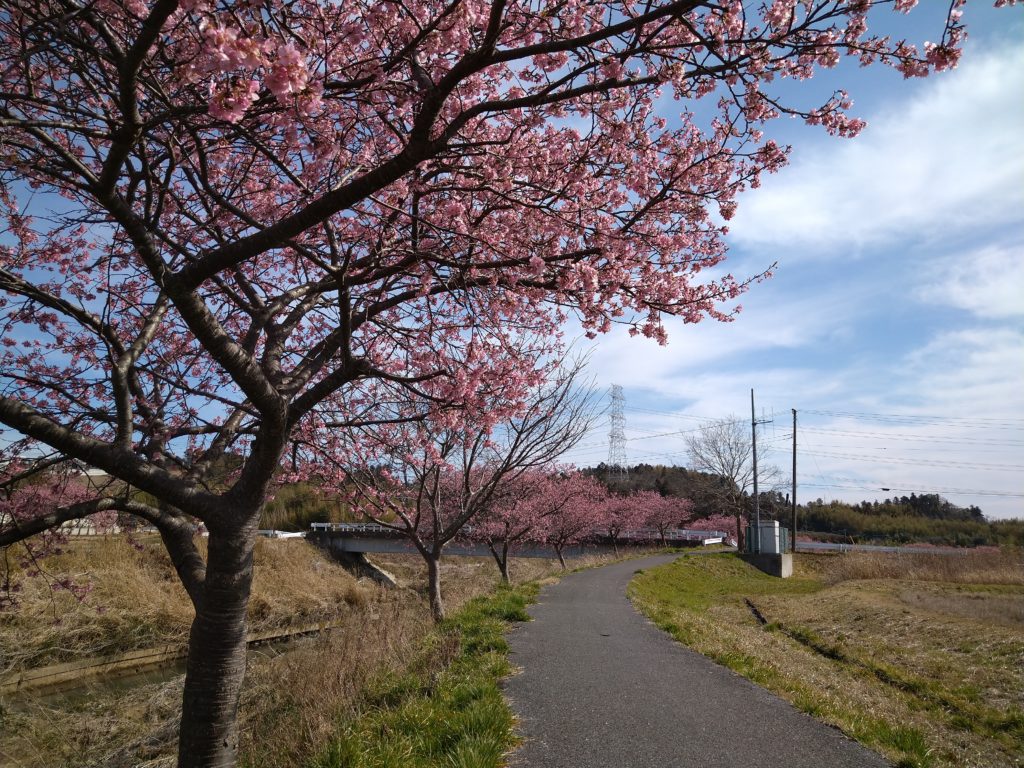 村田川の自然観察