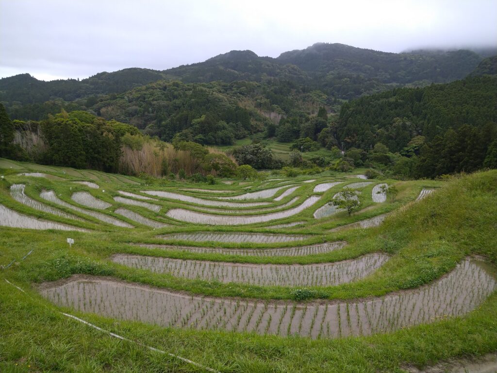 小満(しょうまん)🌿